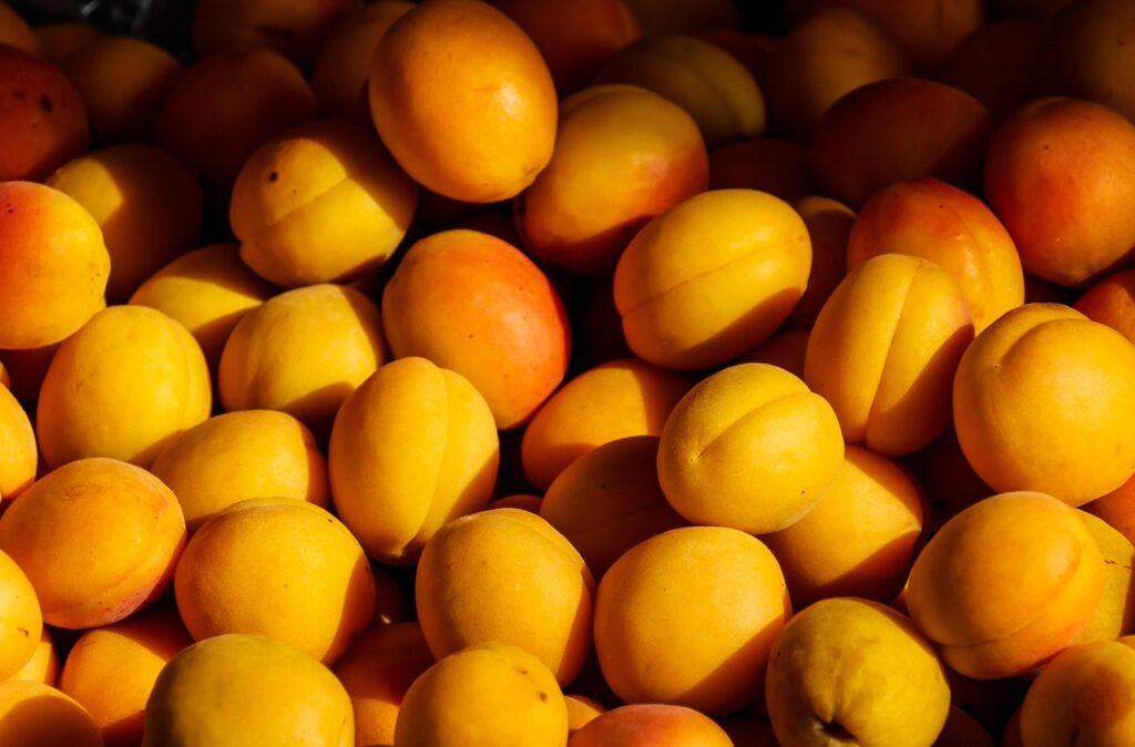 clafoutis abricots
